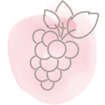 grape seed oil icon