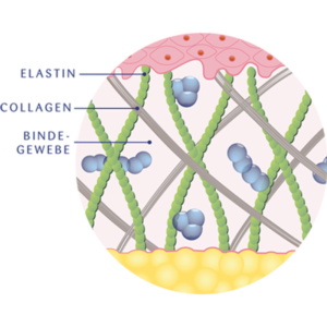 sanosan Collagen-Elastin-Complex
